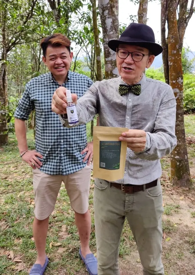 "发哥拉阔世界" visit the agarwood plantation